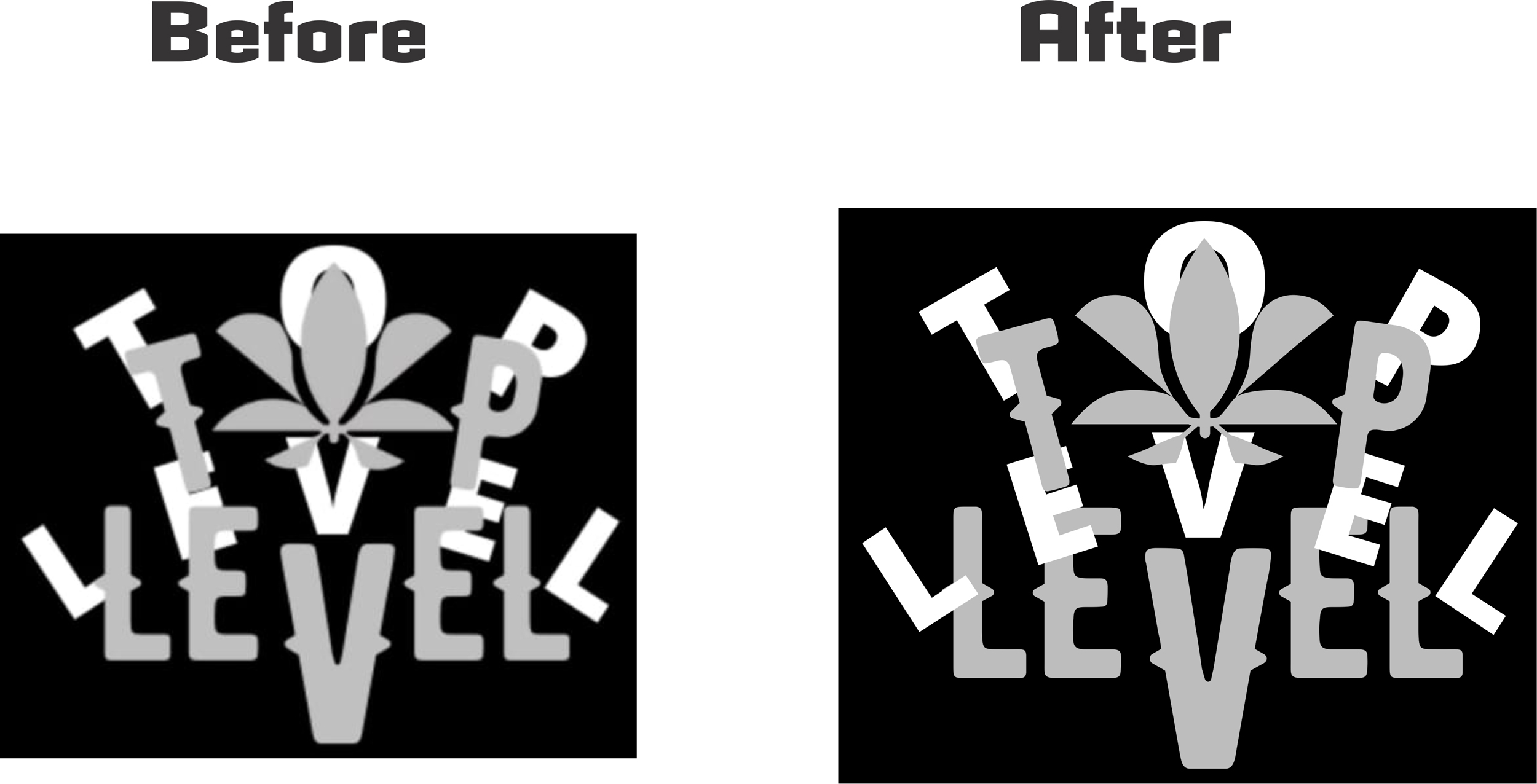 Home top level vector art.jpg